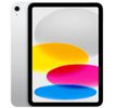 Apple iPad 10.Generation 256GB WIFI+ RuggedFolio Refurbished iOS