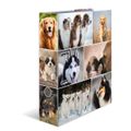 HERMA Ordner A4 Hunde