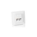 Equip RJ45 Dose 2xRJ45 Cat5e Inputz RAL 9010 Reinweiß