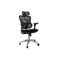 Equip Ergonomischer Bürostuhl mit Kopf und Armstützen sw lite Retail