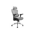 Equip Ergonomischer Bürostuhl mit Kopf und Armstützen gr lite Retail