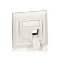Equip Unterputzdose +Frontplatte 2 Keystone 45° RAL 1013 Polybeutel