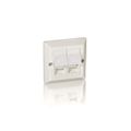Equip Unterputzdose nur Frontplatte 2 Keystone 45° RAL 1013
