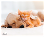 Speedlink Mauspad SILK, Hund & Katze retail