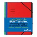 PAGNA Ordnungsmappenset 12 Fächer 1-12 je 1Stk rot/blau/grün