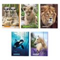 Pelikan Sammelmappe A3 Tiere sortiert FSC
