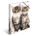 HERMA Sammelmappe A4 Katzen Polypropylen