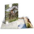 HERMA Sammelmappe A3 Glossy Giraffe Polypropylen
