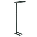 MAUL LED Standleuchte Javal dimmbar schwarz