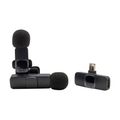 RealPower HS-1,Wireless Microphone,2 Mikrofone,1 Empfänger