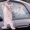ThumbsUp! Fenstersticker "Katze"