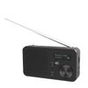 TELESTAR TOP 100 Schwarz DAB+Radios Portable Radio